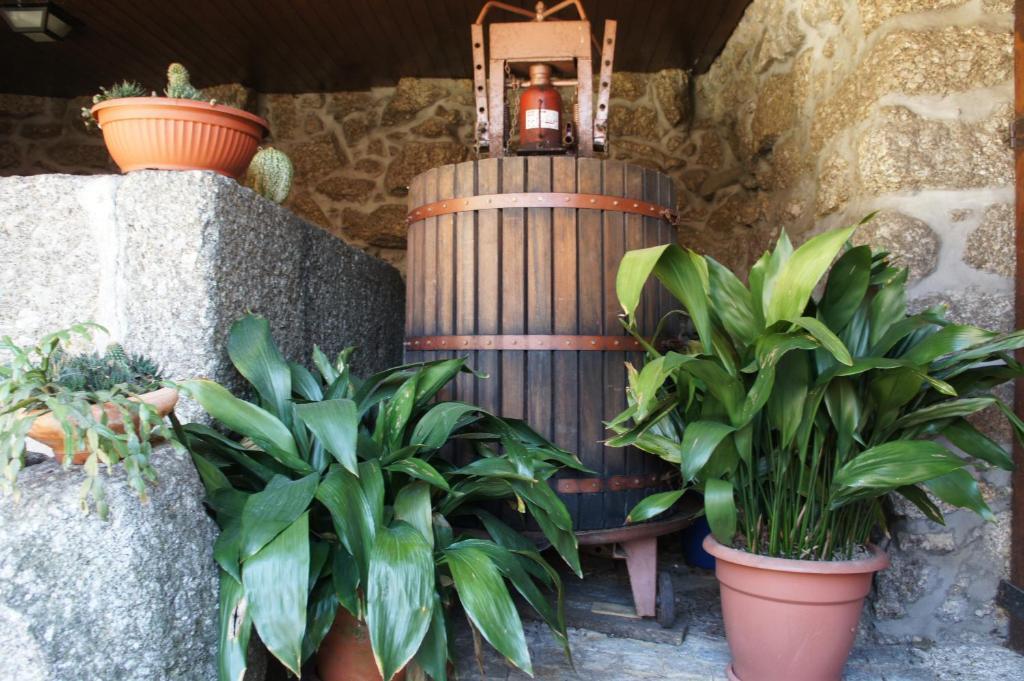 Quinta Travessa Villa Vieira do Minho Exterior photo